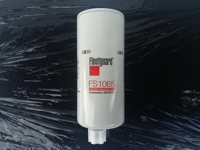 Fuel water separator FS1065 Avia D120 Fleetguard