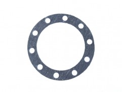 Wheel shaft seal Avia A31